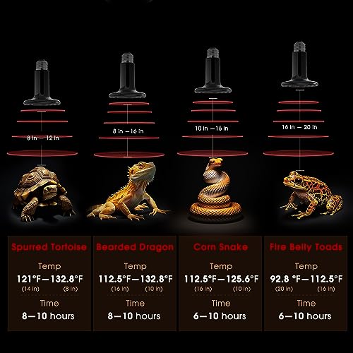 Ceramic Heat Emitter for Reptiles