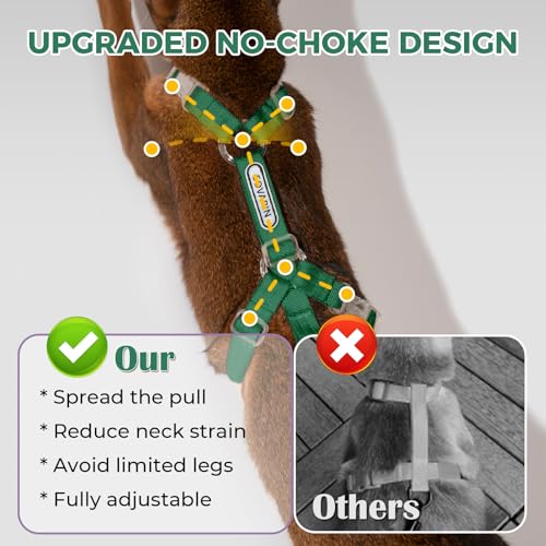 Cat Harness and Leash Set (Grey)