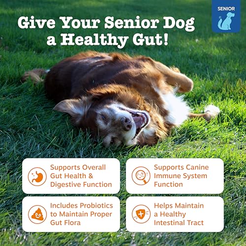 Senior Probiotics for Dogs (90 Count)