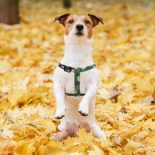 No Pull Dog Harness Medium Sized Step (Camouflage Green / Medium)