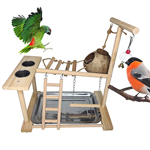 Bird Playground Parakeet Play Stand Wooden Parrot Perch Gym