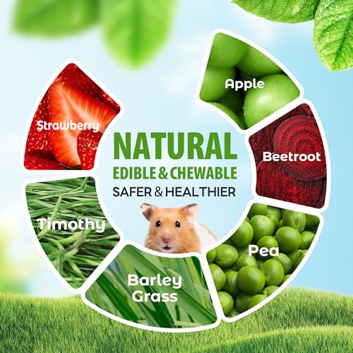 Guinea Pig Chew Toys (3PCS-Fruit & Vegetable)
