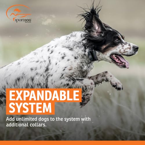 Rechargeable In (1 Dog System)