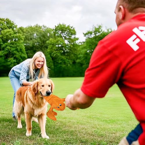 Squeaky Dog Toy No Stuffed Dog Toys (Orange)