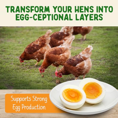 Doc Eddie’s Backyard Chicken Supplement