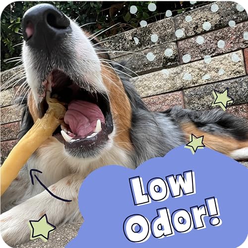 Small Collagen Braids 100% Natural Beef Chews for Dogs (5 Count (Pack of 1))