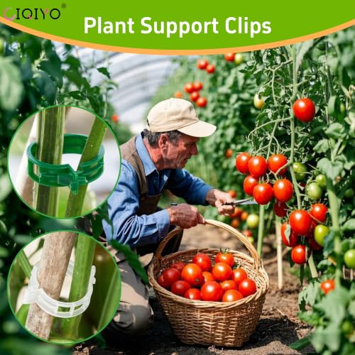 200 Pcs Plant Support Clips (White)