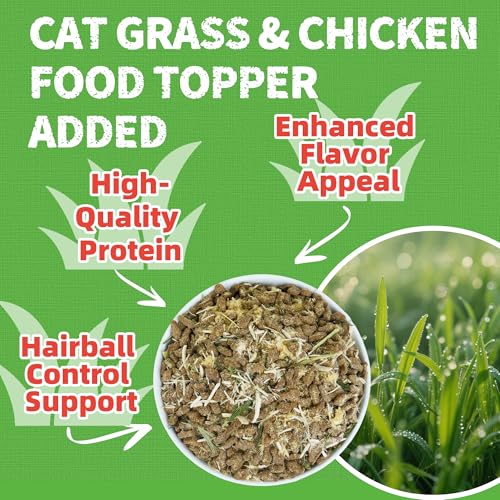 Cat Grass Jerky Treats for Indoor Cats (1 Pound (Pack of 1))