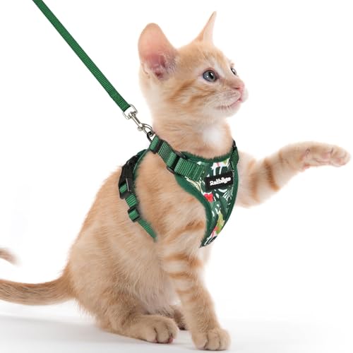 Cat Harness and Leash Set (Xxs / Rainforest Green)