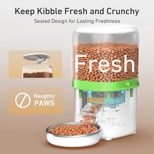 Automatic Cat Feeder (Transparent)
