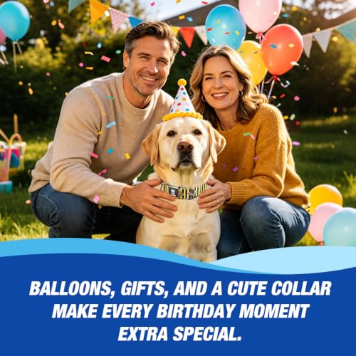 Heavy Duty Thick Dog Collar with Metal Buckle for Large Dogs (L – Fits Neck 18.9"-21.7" / LOVE Striped Print)