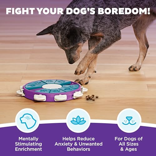 Nina Ottosson Dog Twister Dog Toy Treat Puzzle