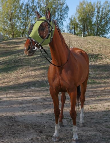 Horse Fly Mask with Ears (Olive Green / Large)