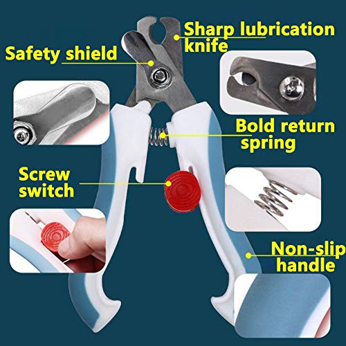 Bird Nail Clippers with Grinding Nail Scissors Tool Pet Parrot Claw Care (S / Blue)