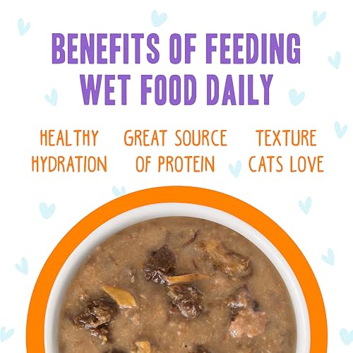 B.F.F. OMG Best Feline Friend Oh My Gravy! (2.8 Ounce (Pack of 12))