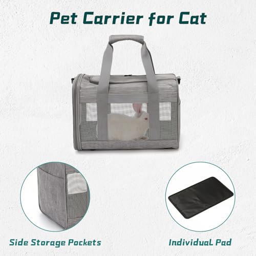 Small Pet Carrier (Gray)