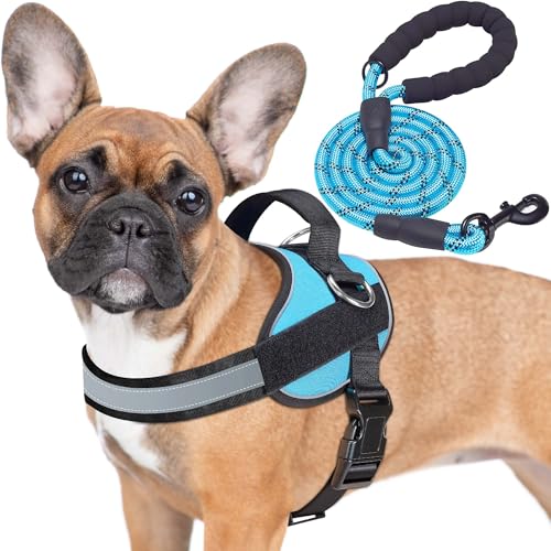 Essential Dog Harness (M / Blue)
