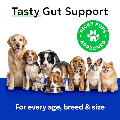Pumpkin Powder for Dogs (Pumpkin Powder / 8.1 oz (Pack of 1))