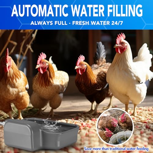 Auto Fill Dog Water Bowl (Grey)