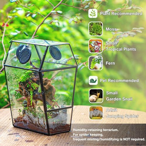 Gothic Glass Enclosure for Jumping Spider