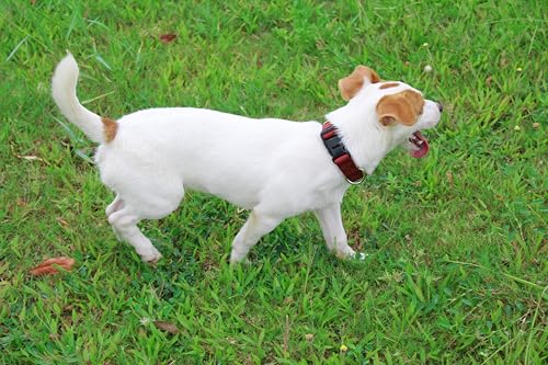 Nylon Dog Collar with Quick Release Buckle Soft Adjustable Sturdy for Small Medium Large Dogs Brick (Brick / L：17.5"-25.5")