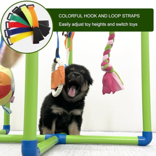 Puppy Play Gym with 9 Hanging Toys for Small Dogs to Keep Them Busy