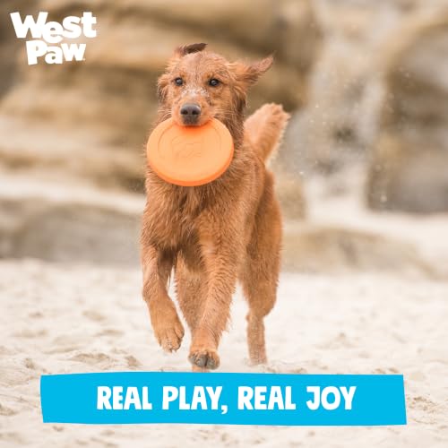 Zisc High Flying Disc Dog Toy (Large / Tangerine)