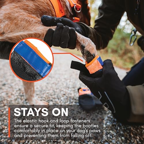Dog Boots for Hot Pavement (Large)
