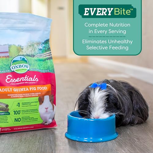 Essentials Adult Guinea Pig Food (10 Pound (Pack of 1))
