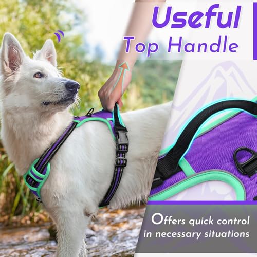 Dog Harness for Large Dogs (Large / Purple & Turquoise)