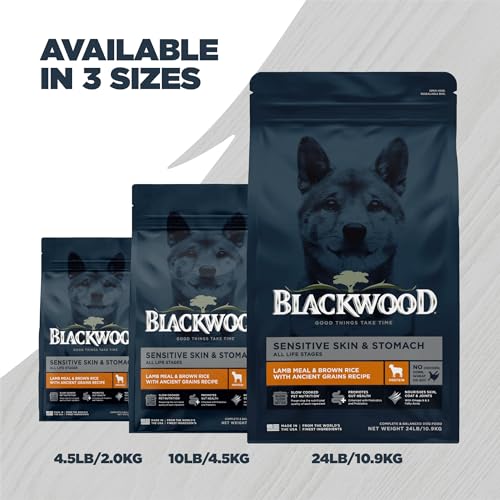 Sensitive Premium Dry Dog Food (Lamb Meal & Brown Rice with Ancient Grains / 24 Pound (Pack of 1))