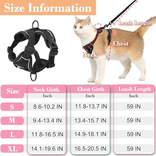 Cat Harness and Leash (Medium / Turquoise)