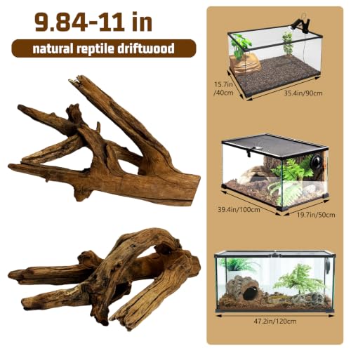 Bearded Dragon Driftwood for Reptile