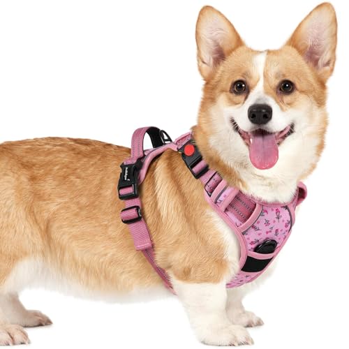 Dog Harness Small Sized (Floral Pink / Small)