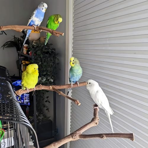 Bird Perches for Cage