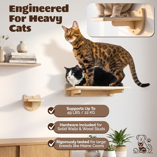 Cat Wall Shelves & Climbing System