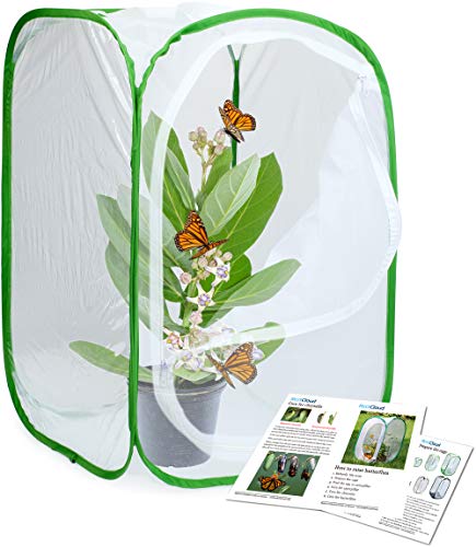Insect and Butterfly Habitat Cage Terrarium Pop (White With Green / 15.7 x 15.7 x 23.6 inches)