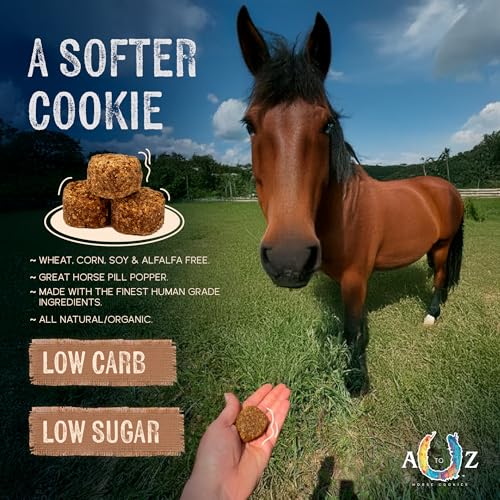 Horse Treats Blonde Bits of Health