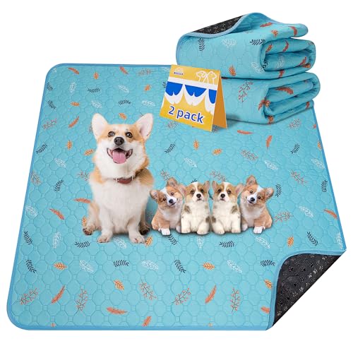 Washable Pee Pads for Dogs 2 (Leaves - Sky Blue / 31x36 Inch (Pack of 2))