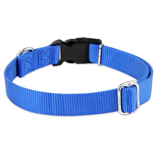 Blue Dog Collar for Medium Dogs (Medium / Bright Blue)