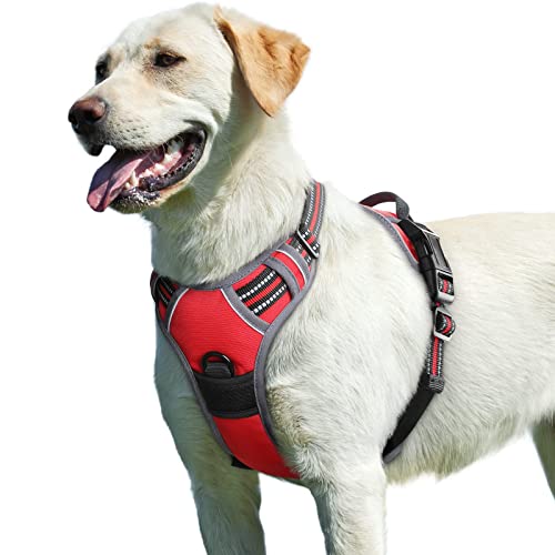 Dog Harness for Large Dogs (Large / Red)