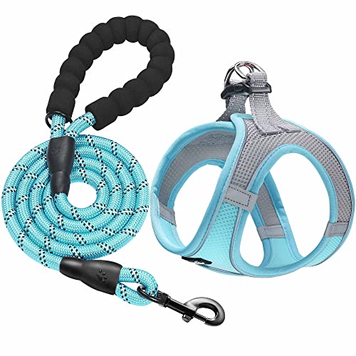 Dog Harness with Leash Set (S / Grey / Blue)