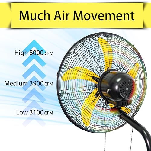 20" Oscillating Wall Mount Fan