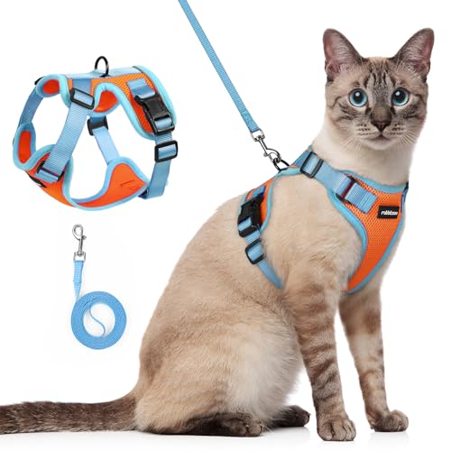 Cat Harness and Leash Set (Orange & Light Blue / S)