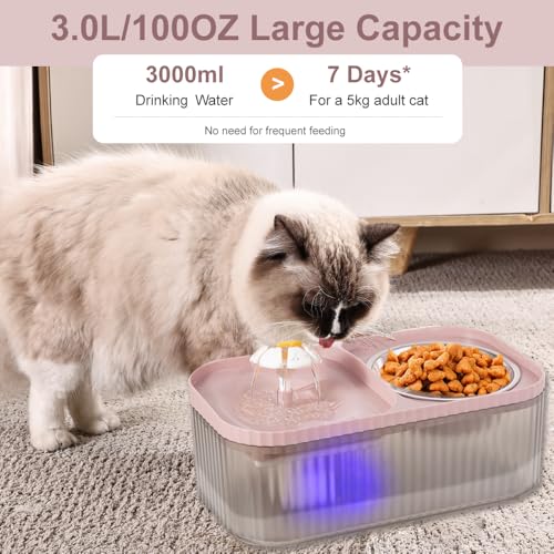 Cat Water Fountain and Stainless Steel Food Bowl