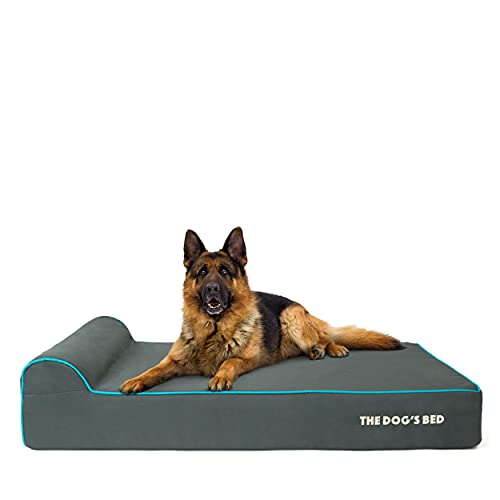 The Dog’s Bed Orthopedic Memory Foam Dog Bed with Headrest XL 6 (Grey with Blue Trim / XL (46"L x 28"W x 6"Th))