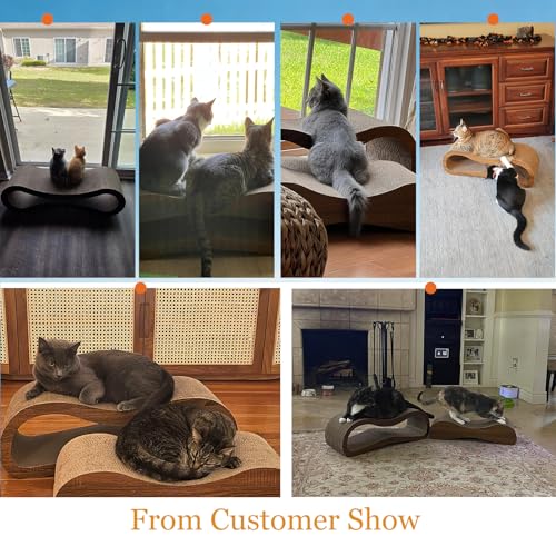 Cat Scratcher (2 IN 1 Large)