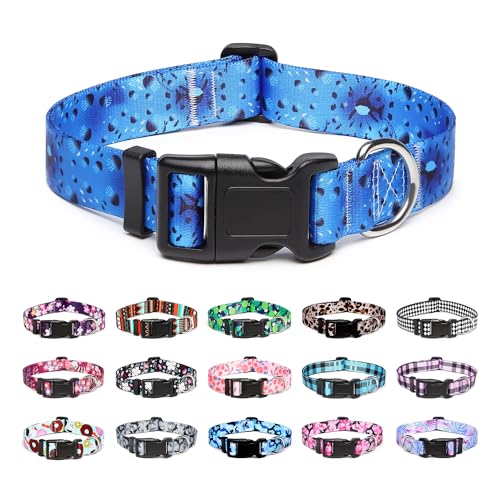 Adjustable Dog Collar (Large / Blue Ocean)