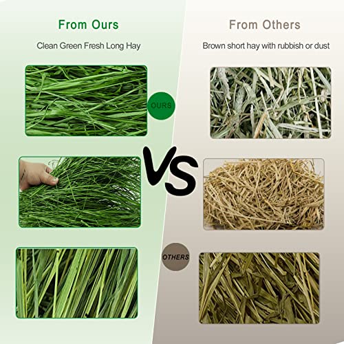Timothy Hay 6.6LBS Small Pet Feed