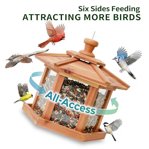 Solution4Patio Bird Feeder for Outdoors (Hexagon Gazebo)